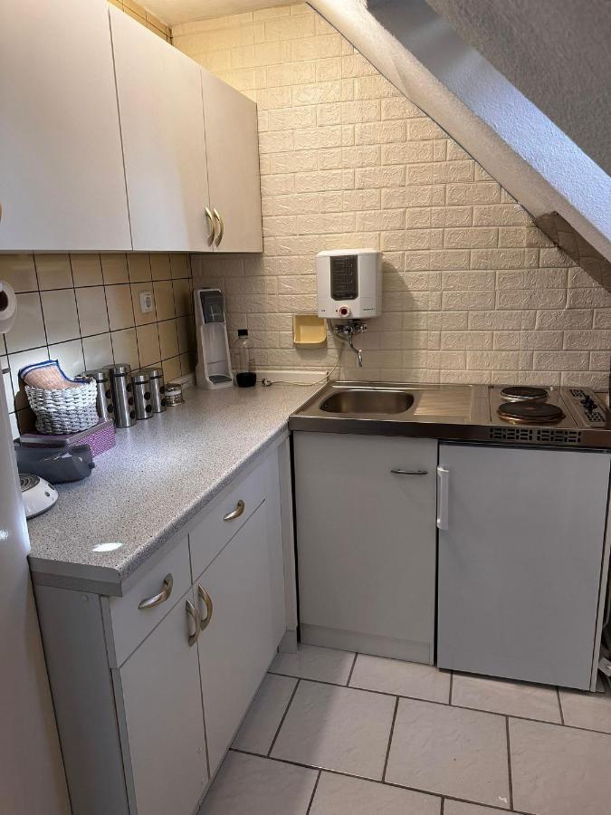A&V Apartments Gemuetliche Rheinblick Wohnung Apt Daisy Дуйсбург Екстер'єр фото